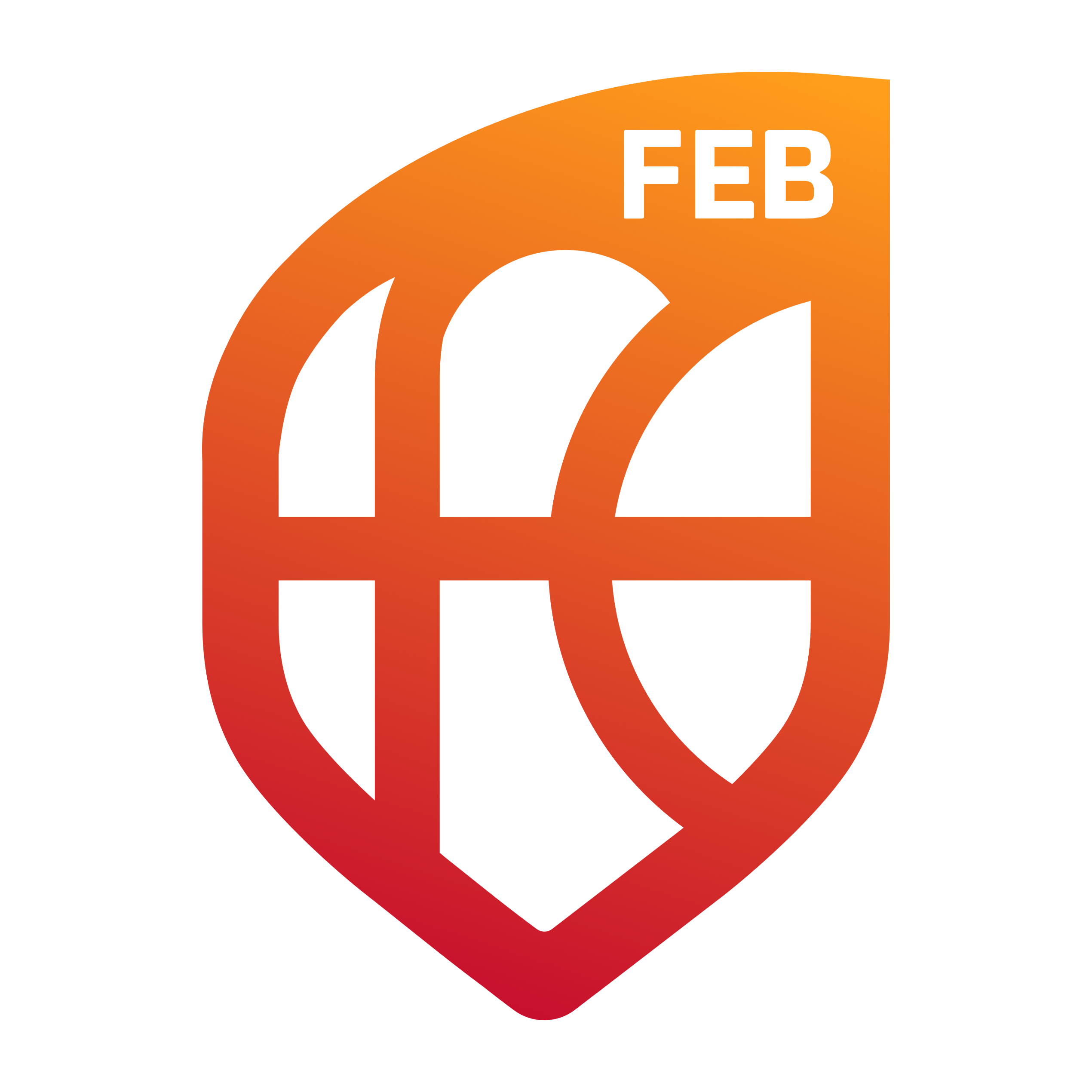 Competiciones FEB