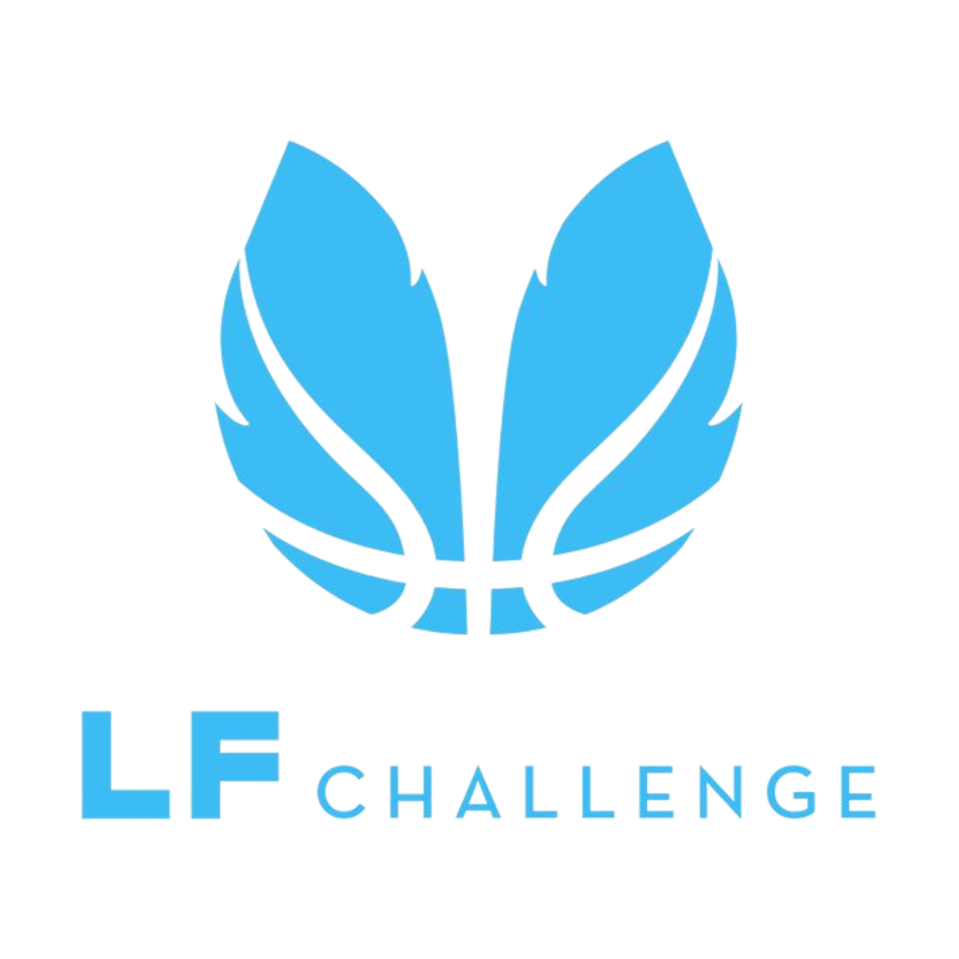 LF Endesa