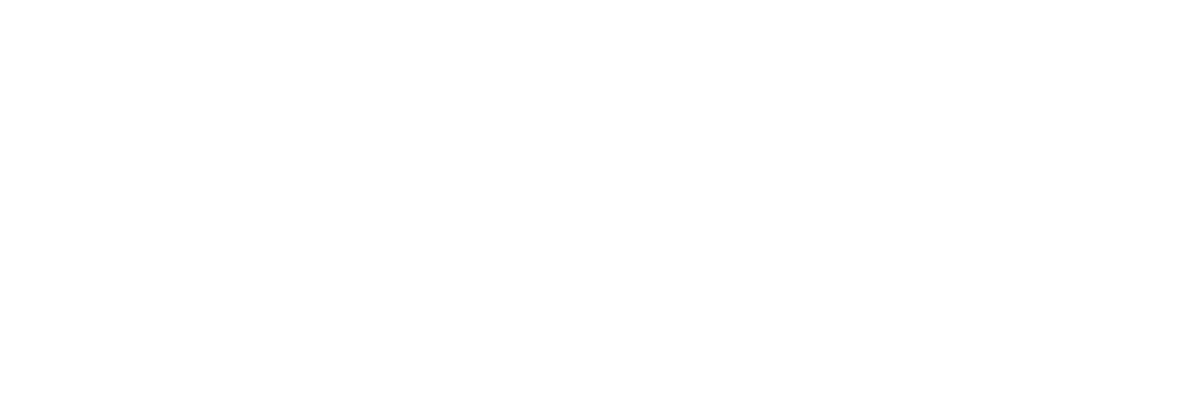 Liga Femenina Endesa