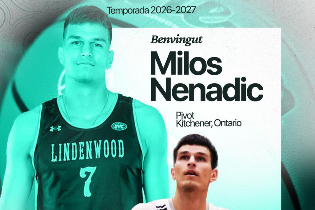 Milos Nenadic, autoridad en la zona para el Palmer Basket